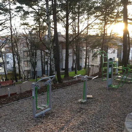 Apartament 15